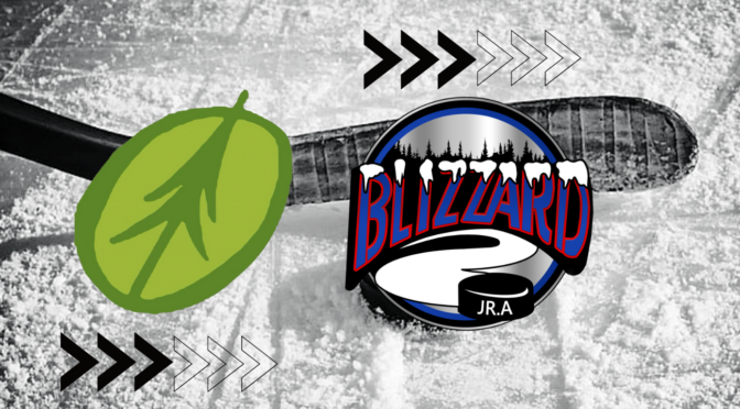 Blizzard Announce New Partnership